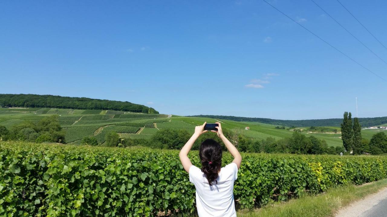 La Mignonette Daire Épernay Dış mekan fotoğraf