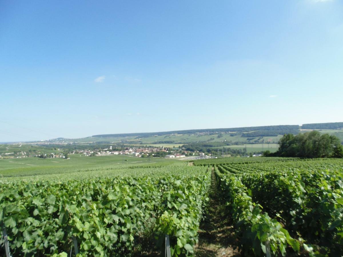 La Mignonette Daire Épernay Dış mekan fotoğraf